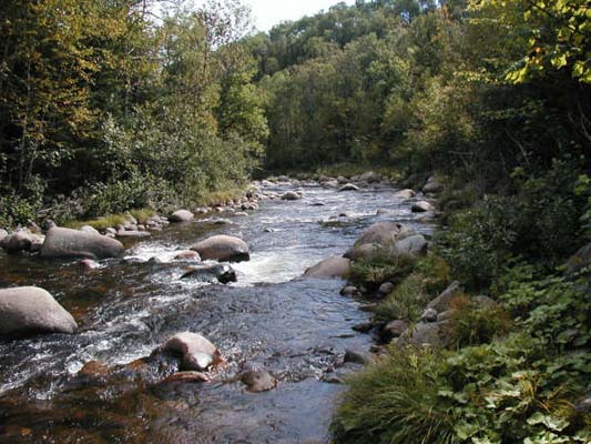 La rivière image du terrain 04